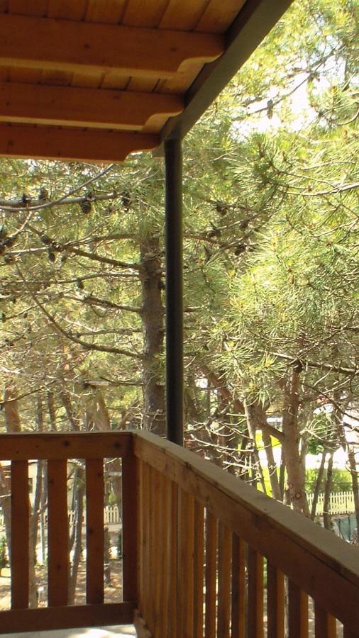 Hotel Temali 2 Velipojë Екстериор снимка