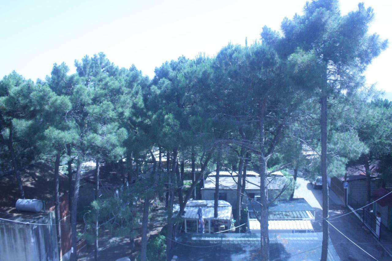 Hotel Temali 2 Velipojë Екстериор снимка